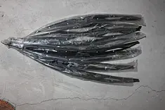 wiper arm